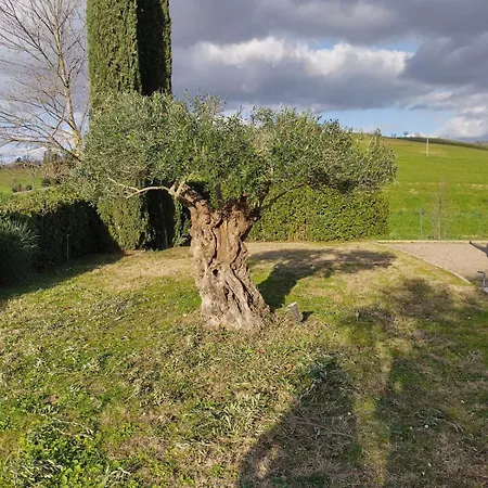 Vakantiehuis Luce E Relax *