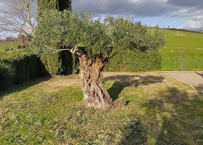 Holiday home Luce E Relax *